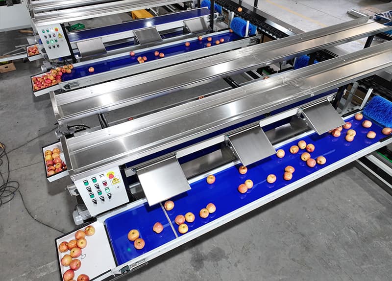 apple color sorter.jpg